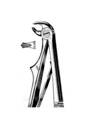 Dental Extraction Forceps – 087