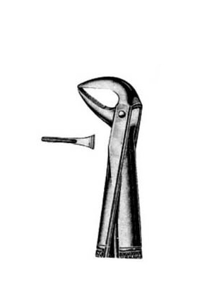 Dental Extraction Forceps – 032