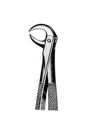 Dental Extraction Forceps – 048