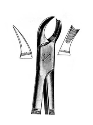 Dental Extraction Forceps – 052