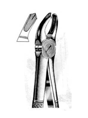 Dental Extraction Forceps – 054