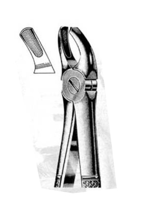 Dental Extraction Forceps – 055