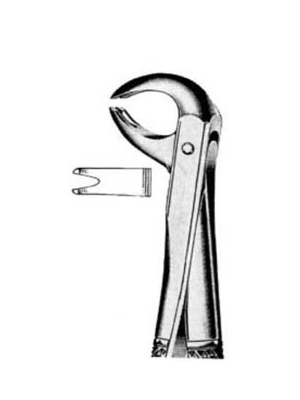 Dental Extraction Forceps – 061