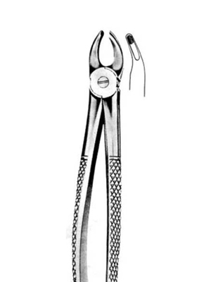 Dental Extraction Forceps – 070