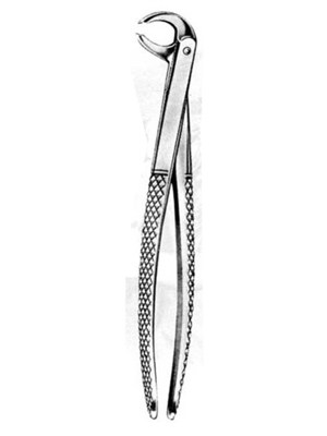 Dental Extraction Forceps – 072