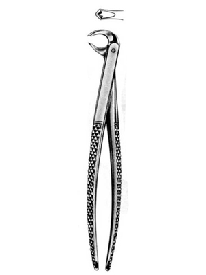 Dental Extraction Forceps – 073