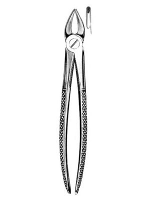 Dental Extraction Forceps – 075