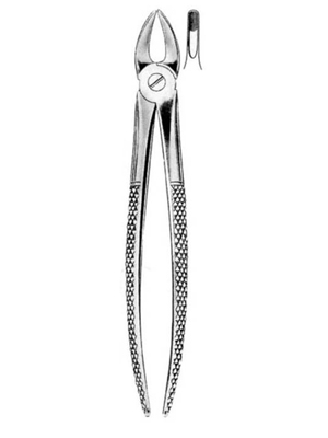 Dental Extraction Forceps – 076