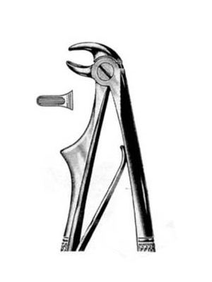 Dental Extraction Forceps – 086