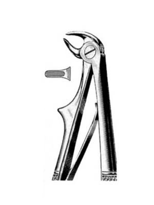 Dental Extraction Forceps – 088