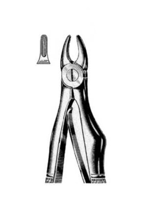 Dental Extraction Forceps – 089