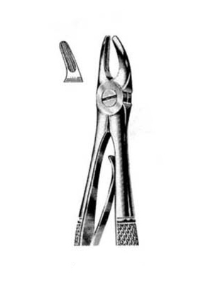 Dental Extraction Forceps – FCP7