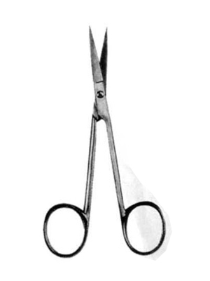 Dental – Scissors 304