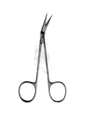 Dental – Scissors 311