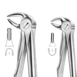 Forcep 13 Lower Premolar