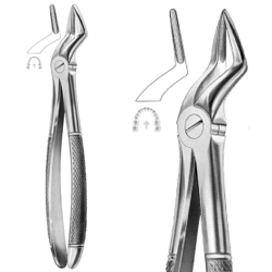 Forcep 51A Upper Root Narrow Beak