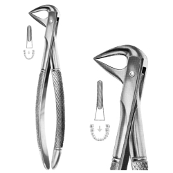 Forcep 74N Lower Incisor/Roots